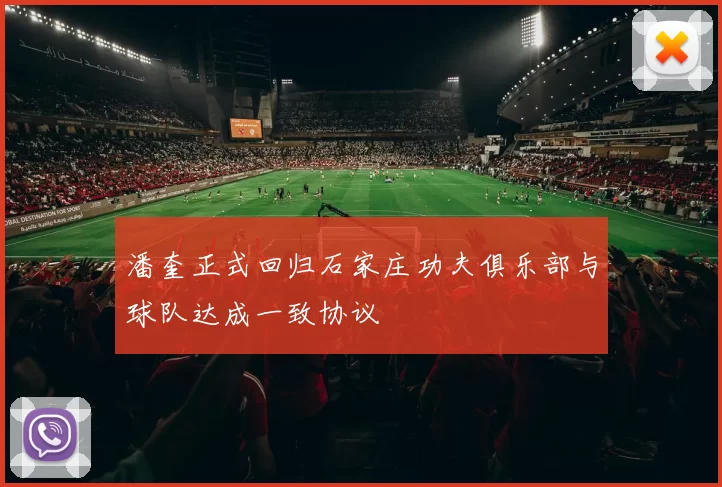 潘奎正式回归石家庄功夫俱乐部与球队达成一致协议